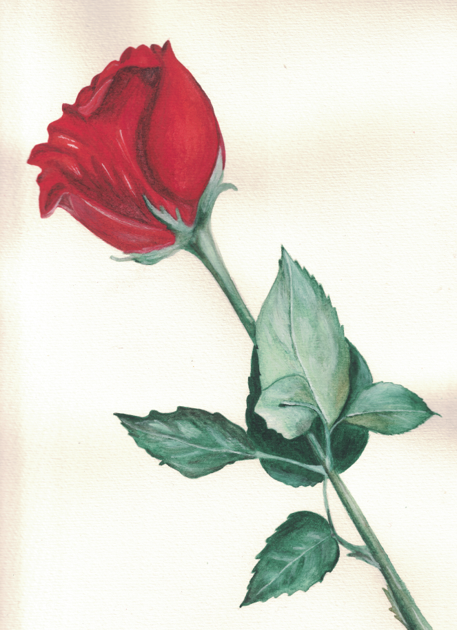 Painting Five